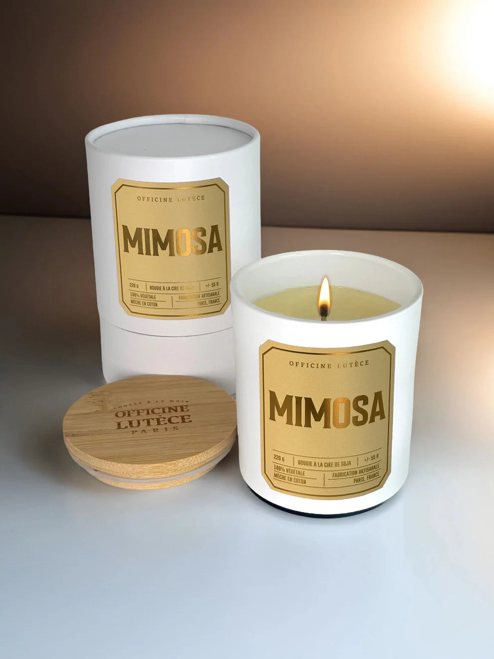 Mimosa