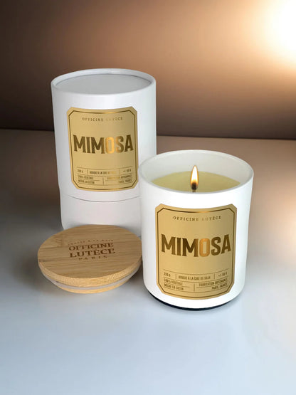Mimosa