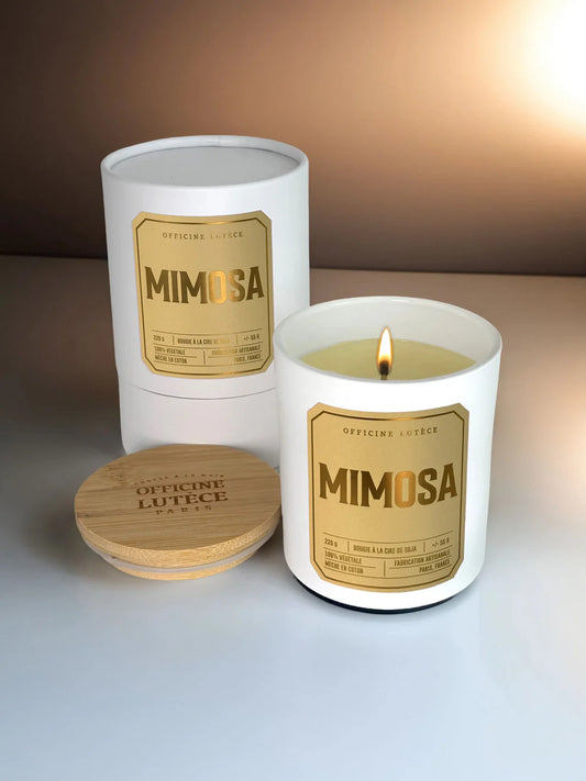 Mimosa