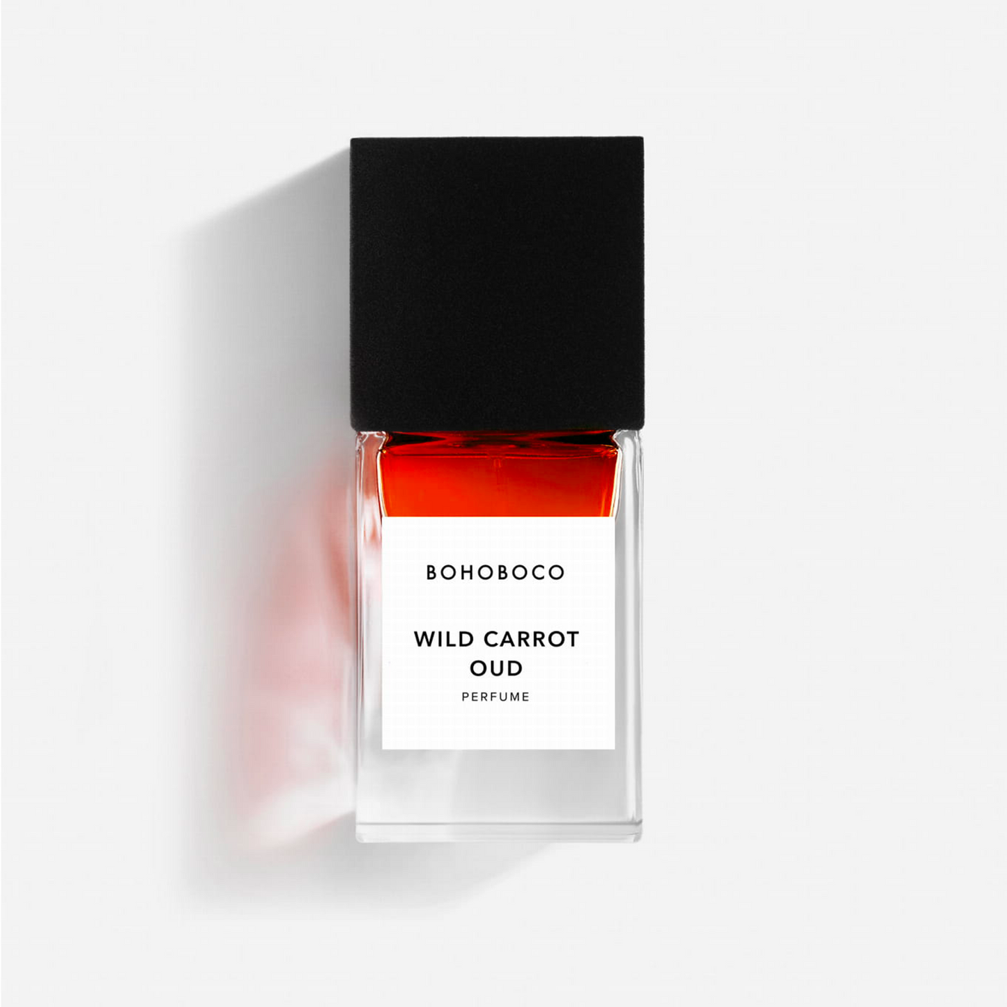 Wild Carrot Oud